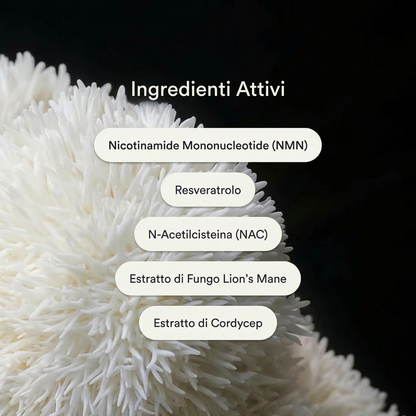 Kim Patches – Cerotti NAD+ Anti Età
